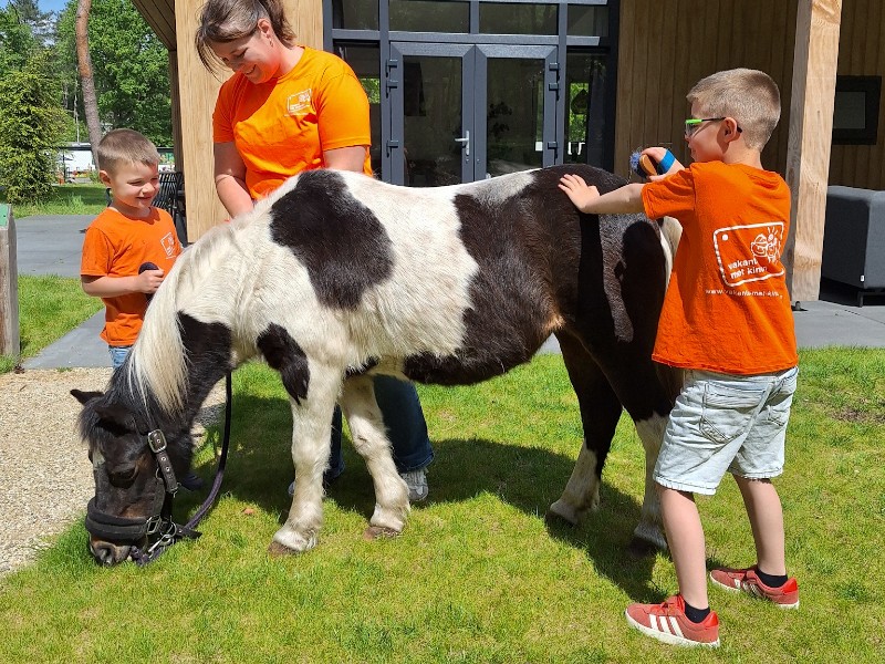 Samen met Jelten en Stijn de pony poetsen