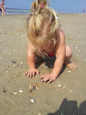 Op het strand banjeren