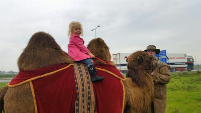 Elize op een Kameel