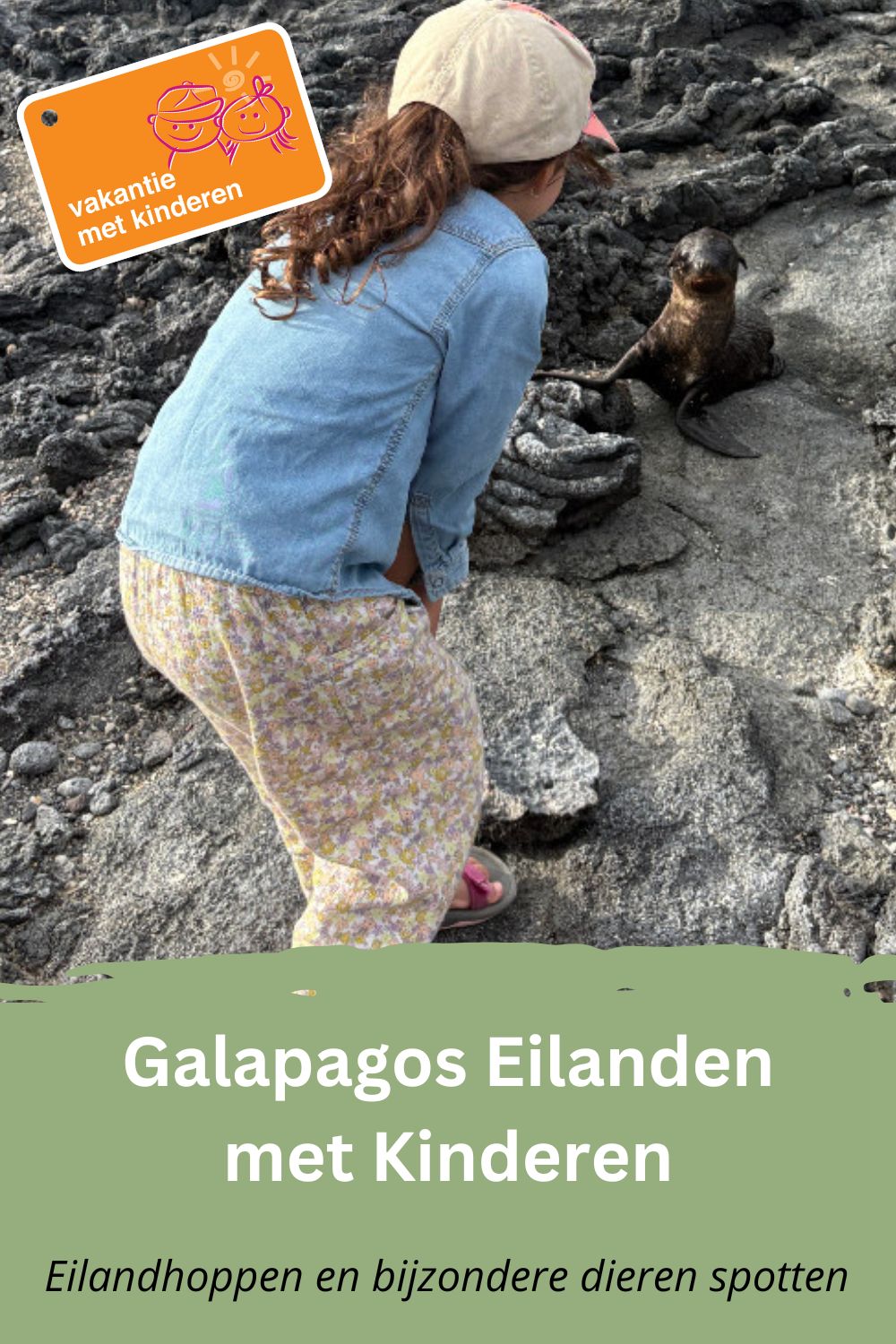 Bewaar deze pin op Pinterest