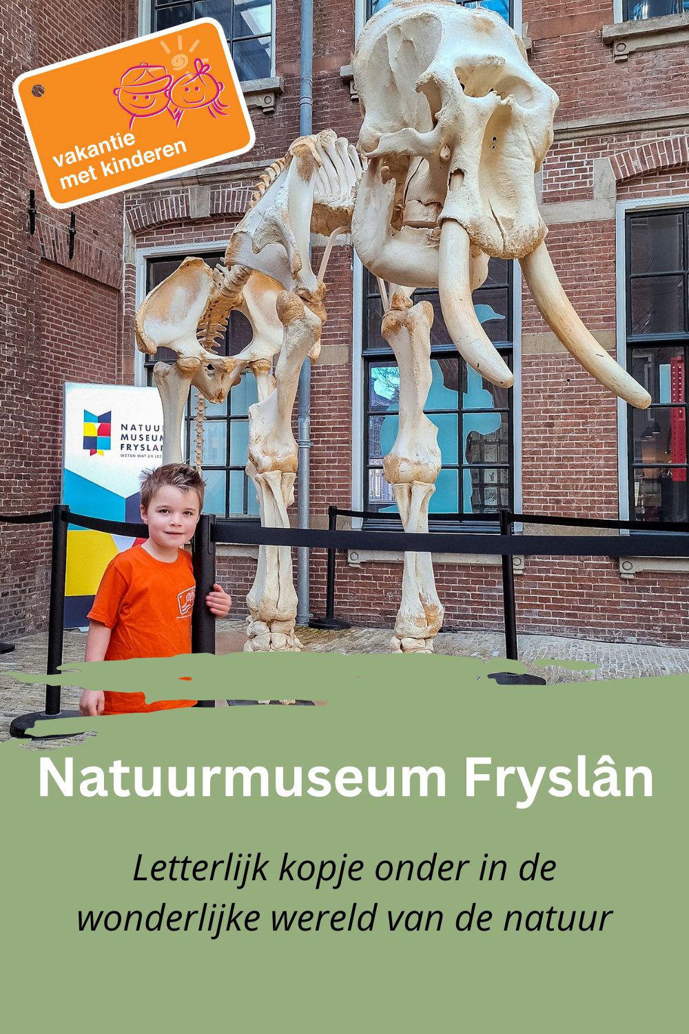 Bewaar deze pin over Natuurmuseum Fryslân op Pinterest