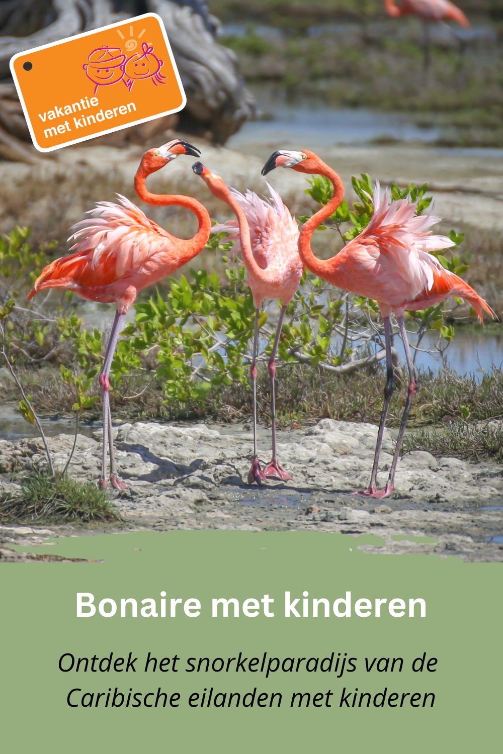 Om te bewaren op Pinterest