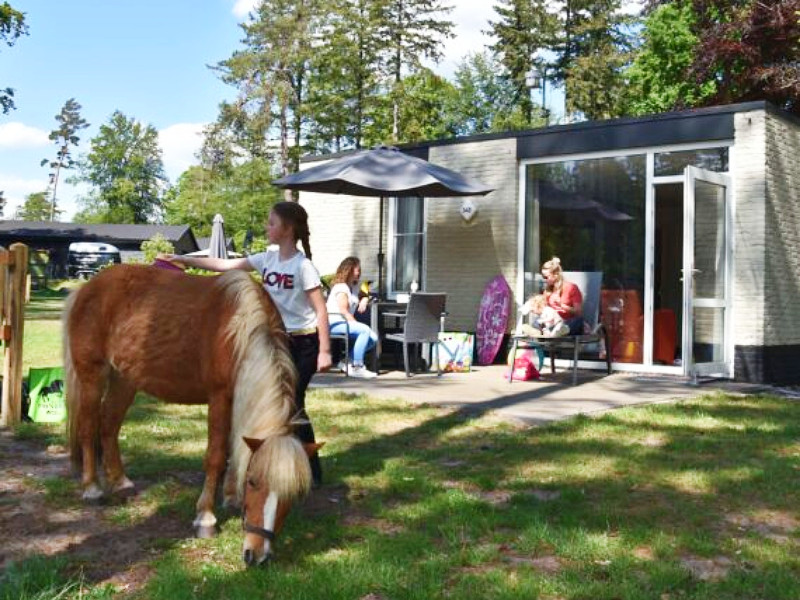 Speciale pony bungalow dichtbij de manege