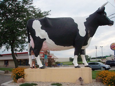 Alles is groter in Amerika, zo ook deze koe