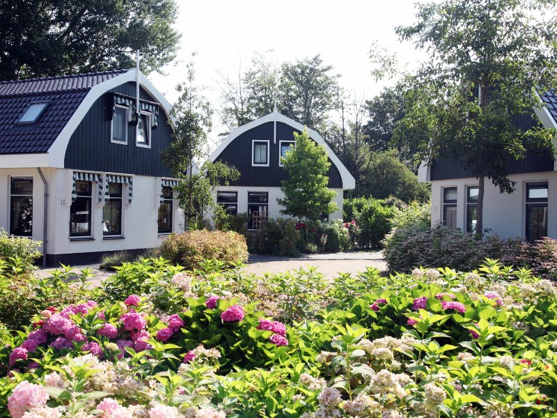 Leuke huisjes bij Resort Koningshof in Schoorl