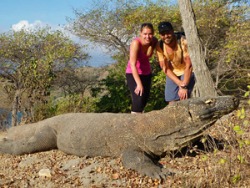 Bij een echte Komodovaraan in het wild!