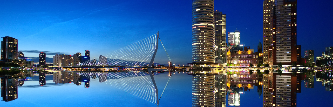 Uitzicht op de Erasmusbrug in Rotterdam