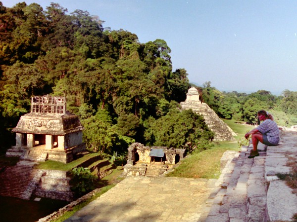 De ruïnes van Palenque in de jungle van Mexico
