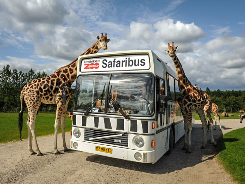 Safaripark GIVSKUD ZOO