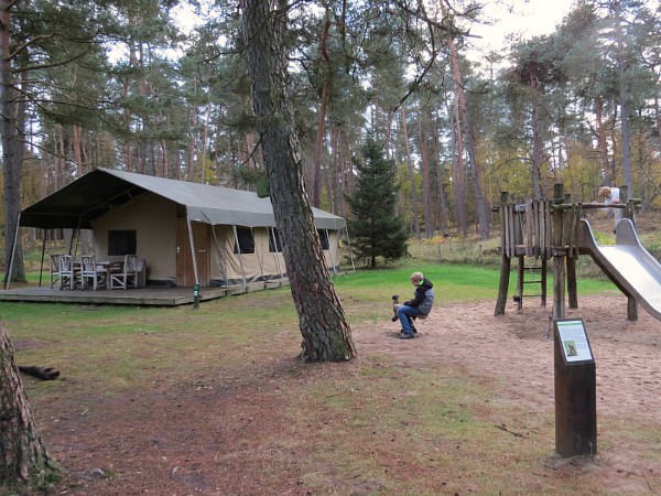 Ook safaritenten bij Landal Coldenhove!