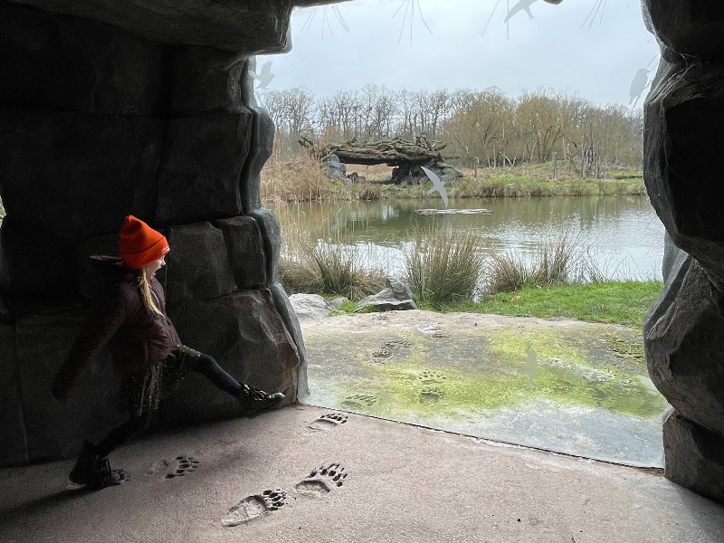 Grote berenstappen bij een van de uitkijkpunten in het berenverblijf in Sainte-Croix