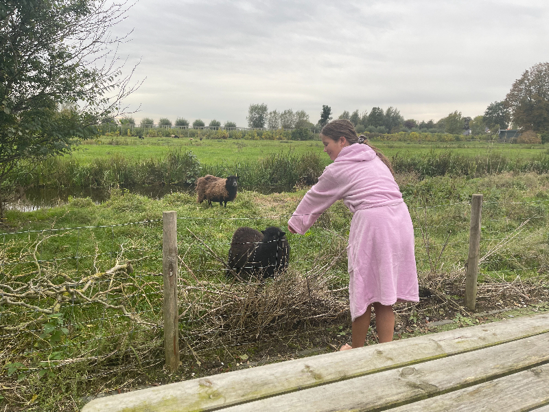 We konden de schapen zelfs even aaien
