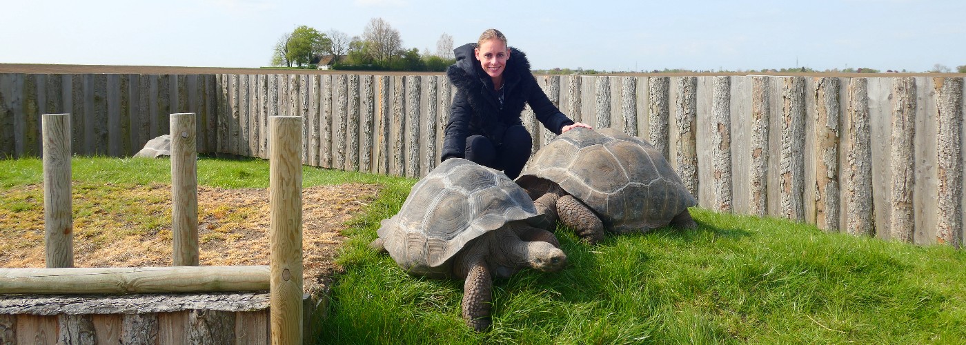 Bianca tussen de gigantische schildpadden in de Krokodille Zoo in Denemarken