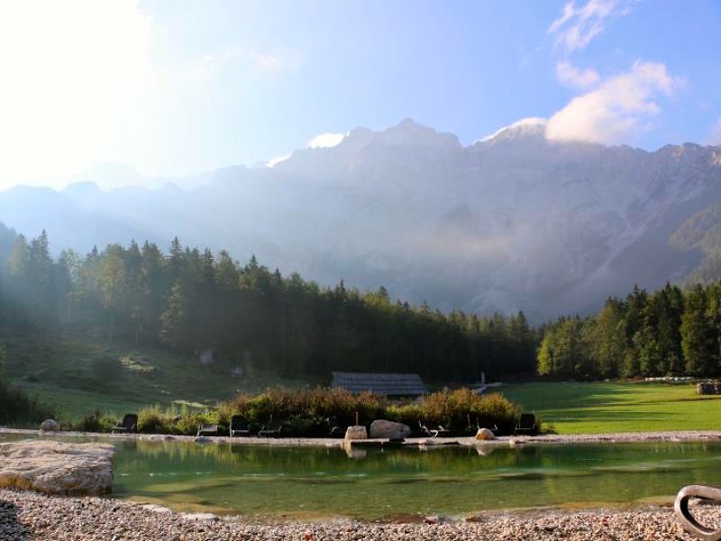 De zwemvijver op het erf van de vakantie boerderij in Slovenië met uitzicht op de Alpen