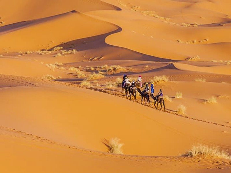 Op de kameel door de woestijn, rondreis Marokko