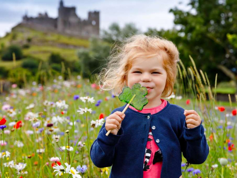 Meisje tussen de wilde bloemen