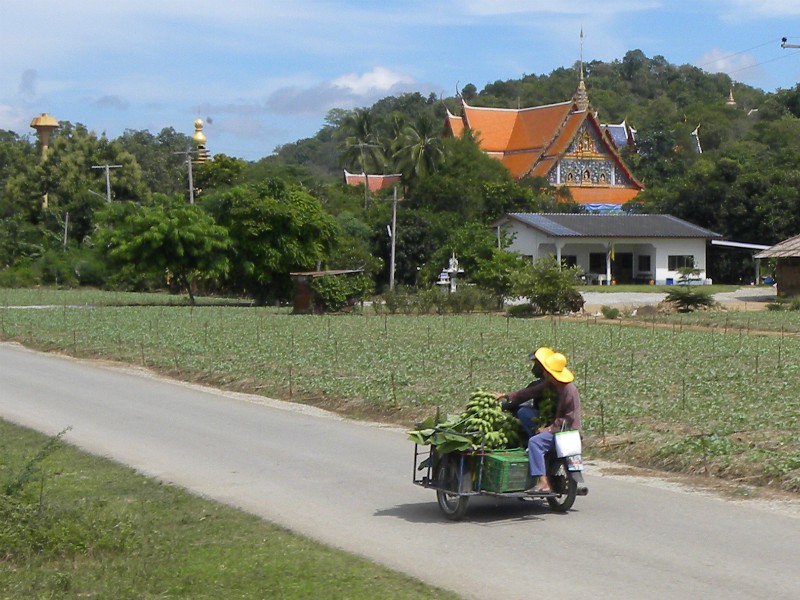 Het platteland van Thailand vanuit de trein gezien