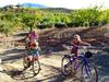 Fietsen tussen de amandelvelden in Andalusie