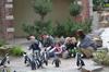 pinguins voeren