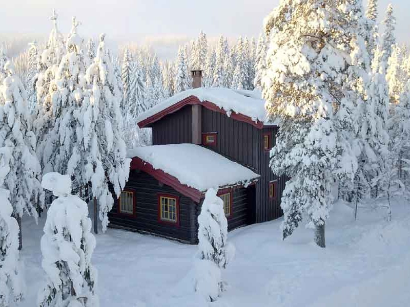 De Timmerbyen Chalets liggen prachtig in het bos