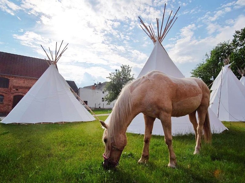 Kuckunniwi Tipidorp met een paard