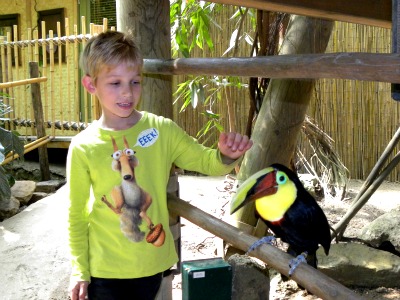 Tycho aait de toekan in de Jungle Dome
