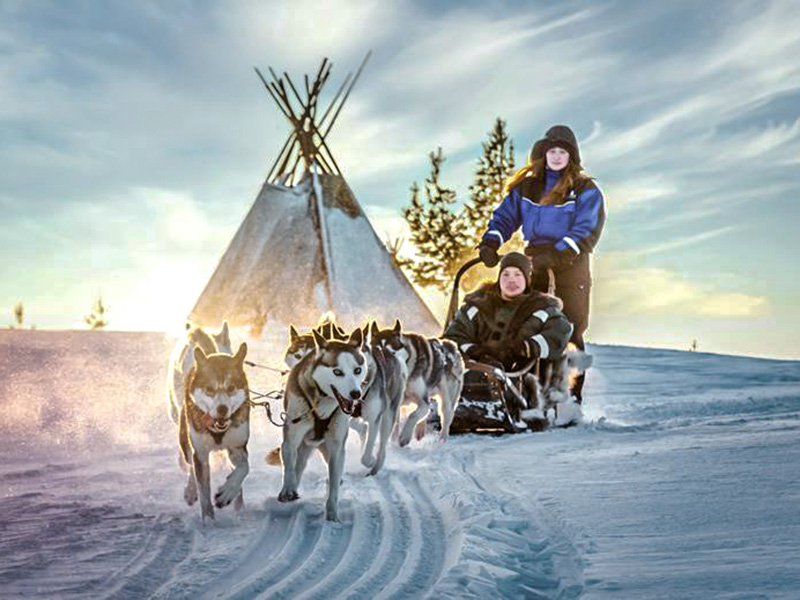 Tui huskytocht in Lapland