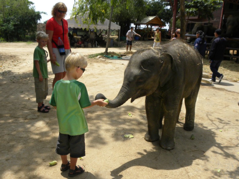 Tycho voert een olifantje