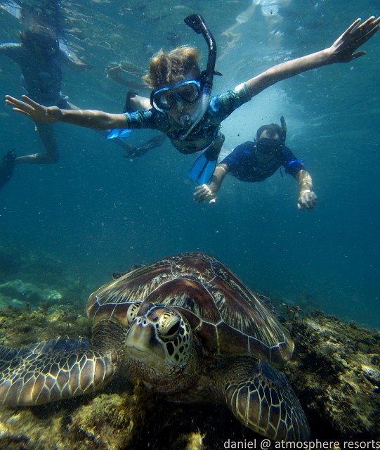 Kinderen zien schildpad met snorkelen