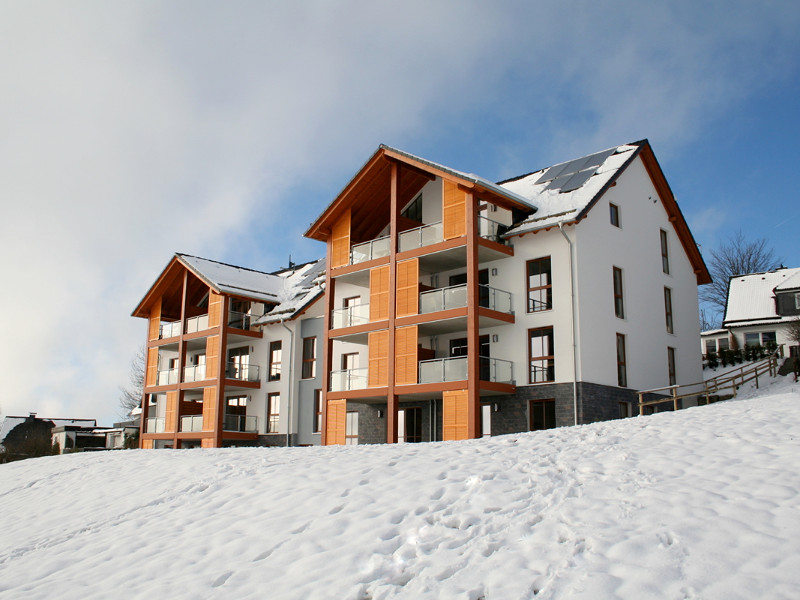 Uplandparcs in de sneeuw bij Winterberg, Duitsland