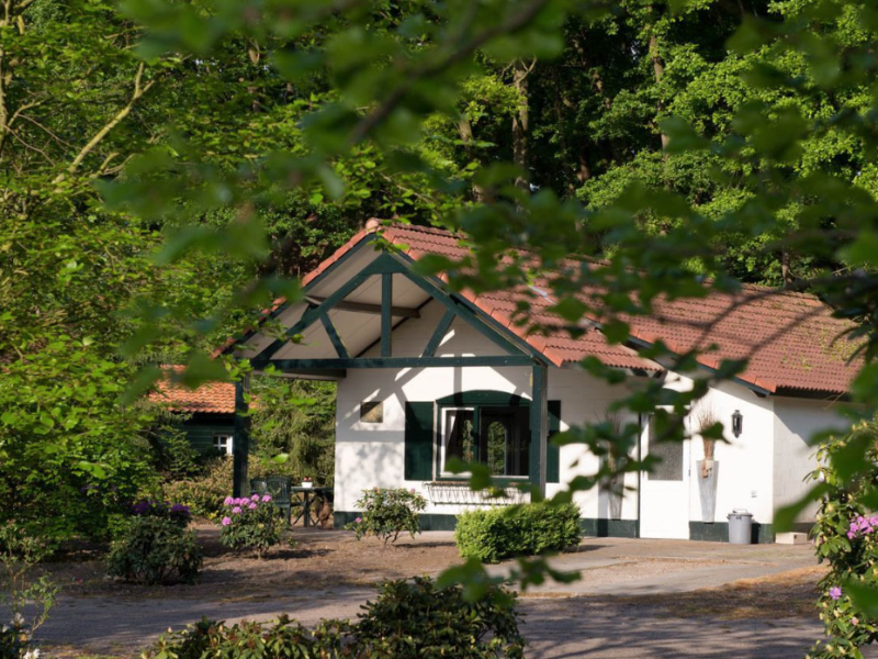 Een bungalow aan de bosrand bij Sandberghe