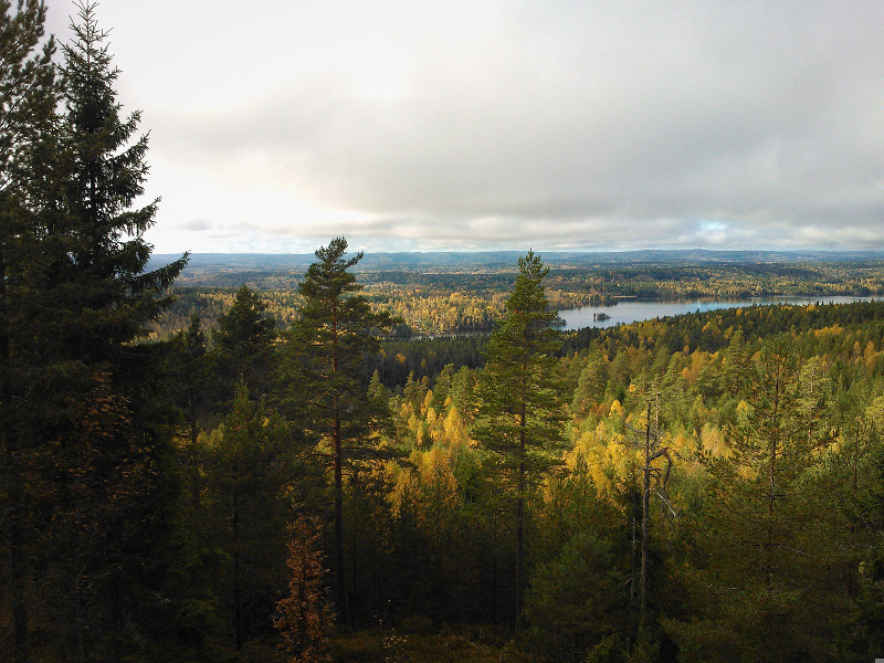 De natuur in Varmland, Zweden