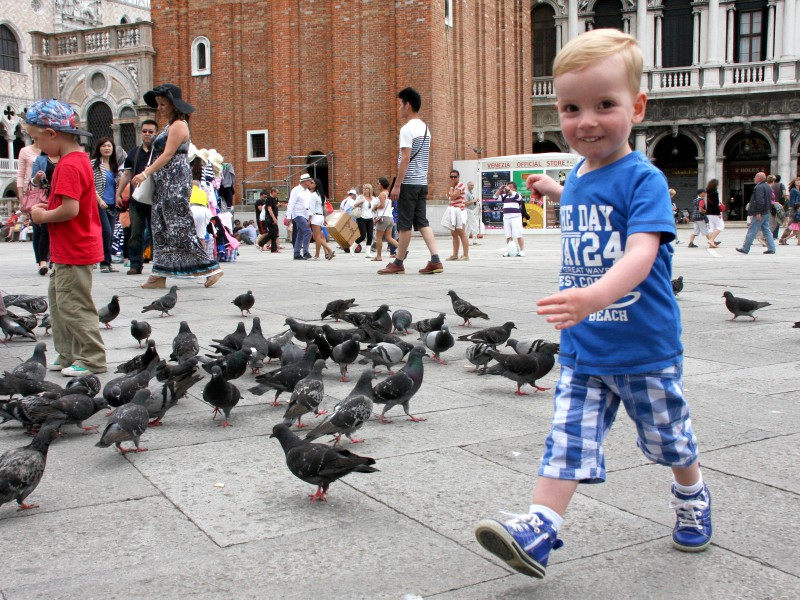 Jongetje tussen de duiven op het San Marco plein Venetië