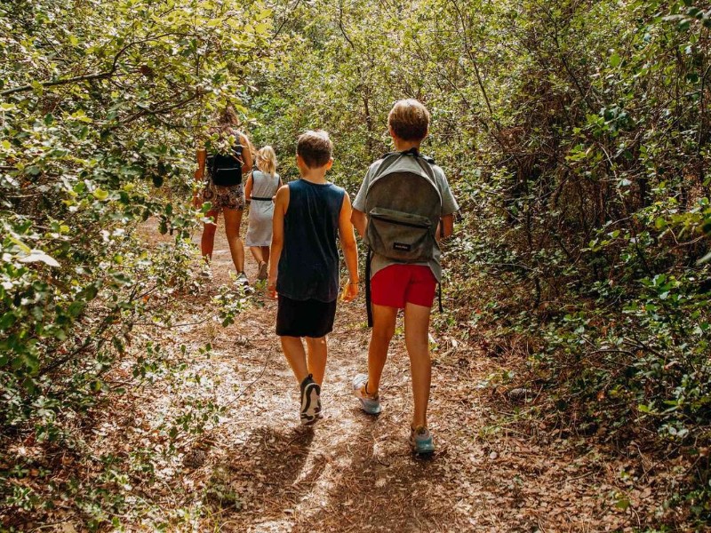 Vinea outdoor kampen kids in bos
