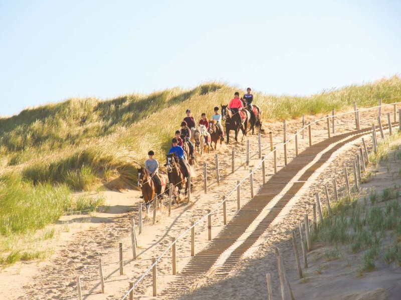 pony's en ruiters in duinen, texel