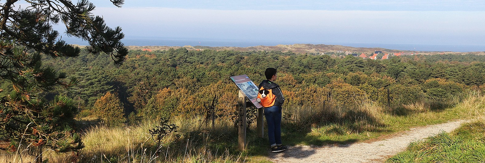 Uitzicht op het Bokkedal op Vlieland