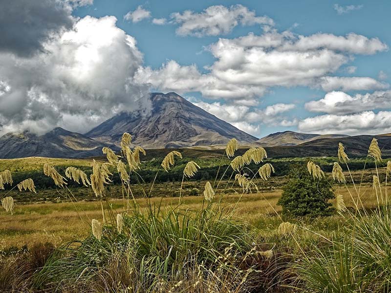 De vulkaan Tongariro in Noord Nieuw-Zeeland