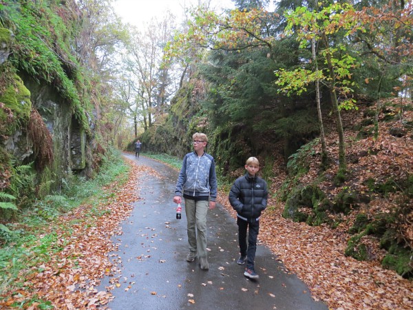 we maken een wandeling door de natuur