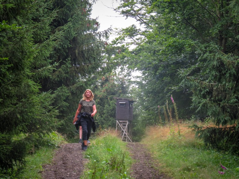 wandelen thuringen bossen