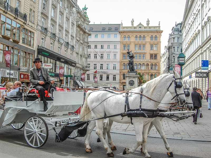 De binnenstad van Wenen verkennen middels een paardenkoets is leuk voor jong en oud.