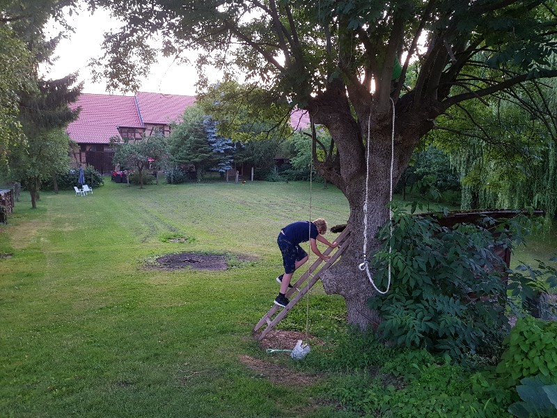 De klimboom in de tuin van Pension Zum Wilhelm