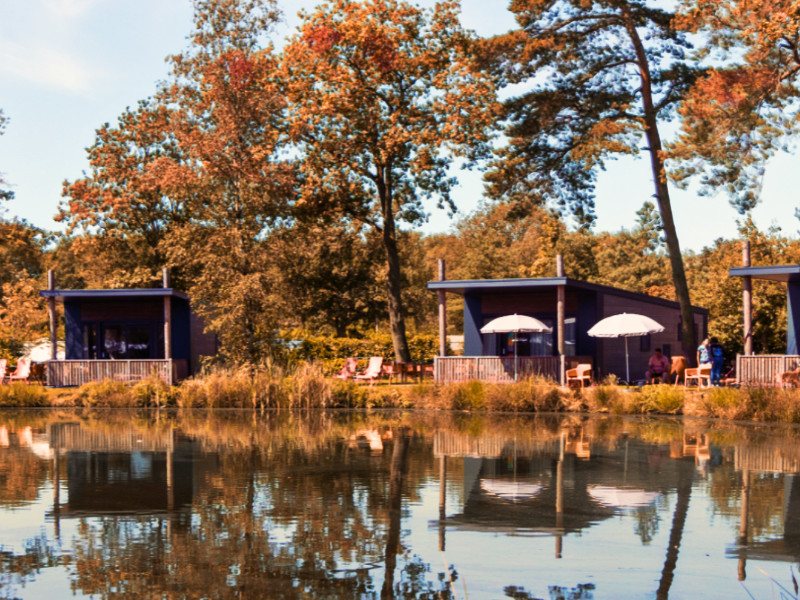 Herfst bij Westerbergen
