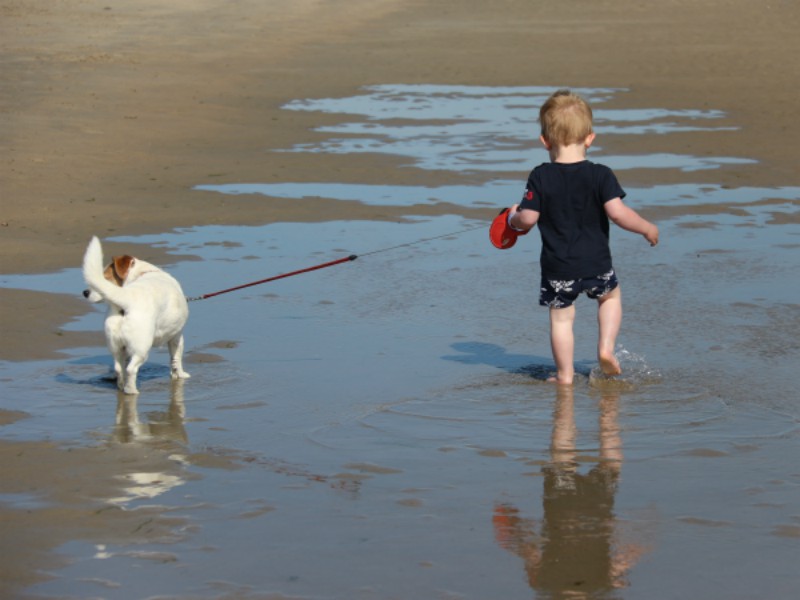 texel strand