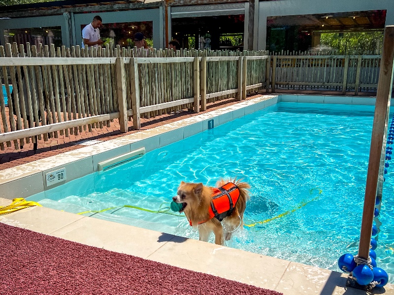 Union Lido dogcamp wassen Union Lido dogcamp wassen