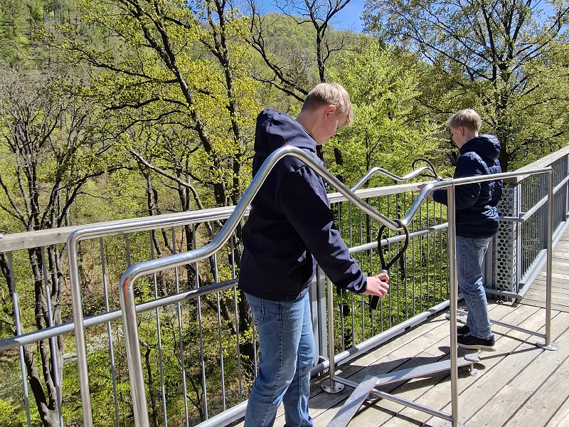 Genieten van de activiteiten langs het Baumwipfelpfad in Bad Harzburg