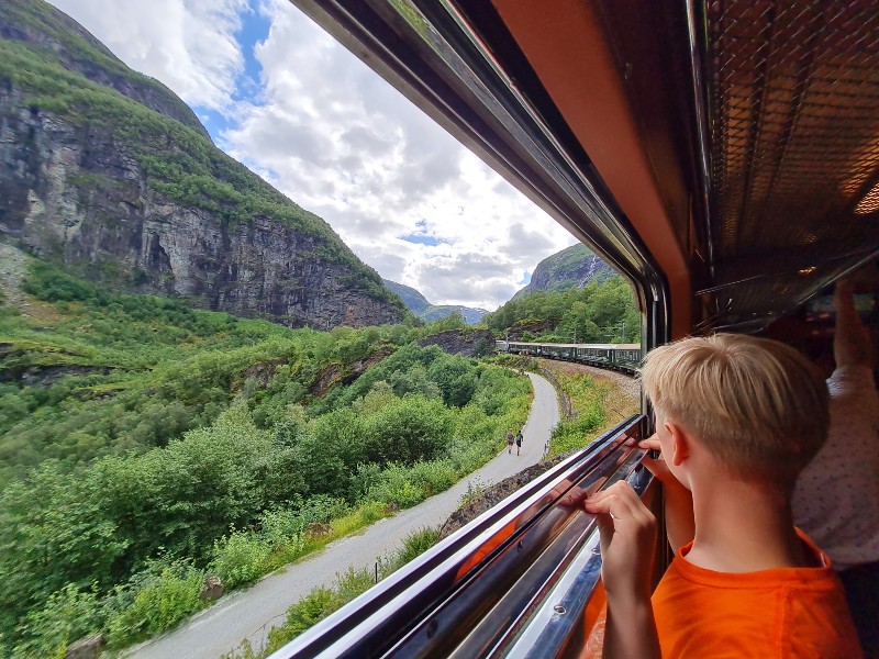 Uitzicht vanuit de trein tijdens de rit met de Flamsbana in Noorwegen