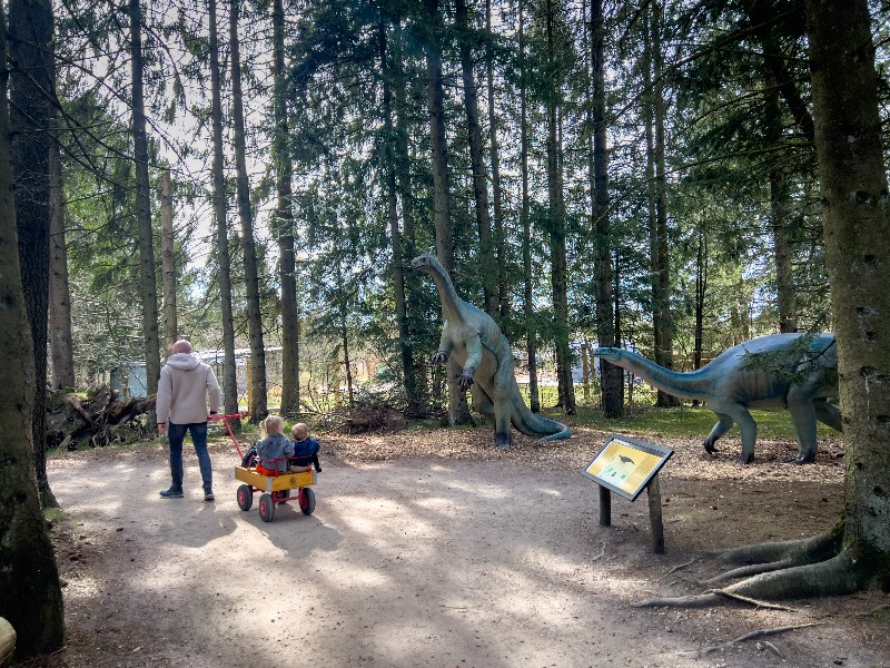 In de bolderkar door dino area