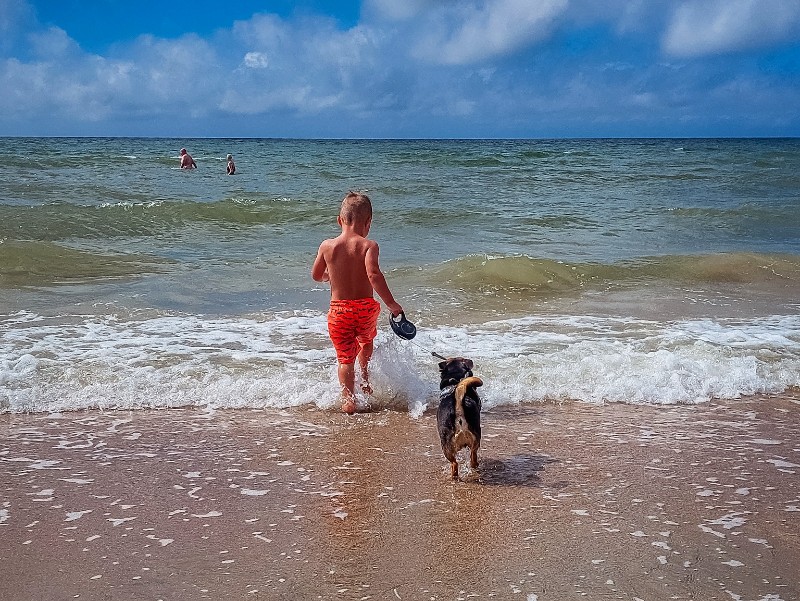 Honden zijn overal van harte welkom