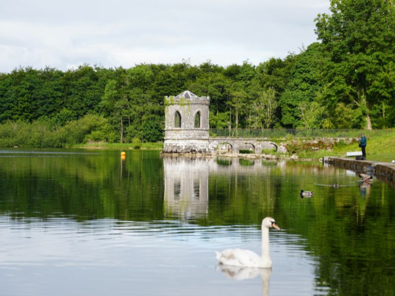 Lough Key Forest & Adventure Park met toren en zwaan op het meer