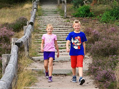 kids wandelen op de heide